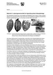 Seite 33 – BI14_x_L_HT_GG.pdf