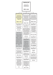 Seite 11 – bmf-organisationsplan_deutsch_marz_2016