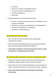 Seite 31 – IFG-HARTABERFAIR_konvertiert.pdf