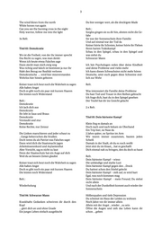 Seite 3 – e-16390-v-kein-zurueck-indizierung