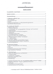 Seite 4 – Lagebericht Irak 2016