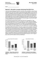 Seite 17 – BI19_x_L_N1_GG.pdf