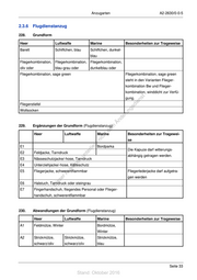 Seite 33 – Anzugordnung für die Soldatinnen und Soldaten der Bundeswehr