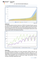 Seite 13 – 20201210-lagebild-gemeinsamer-krisenstab-bmi-bmg