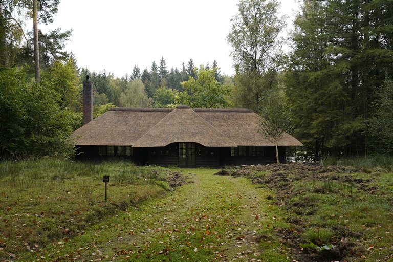 Eine Jagdhütte mit Reetdach im Wald zu der eine Forststraße führt