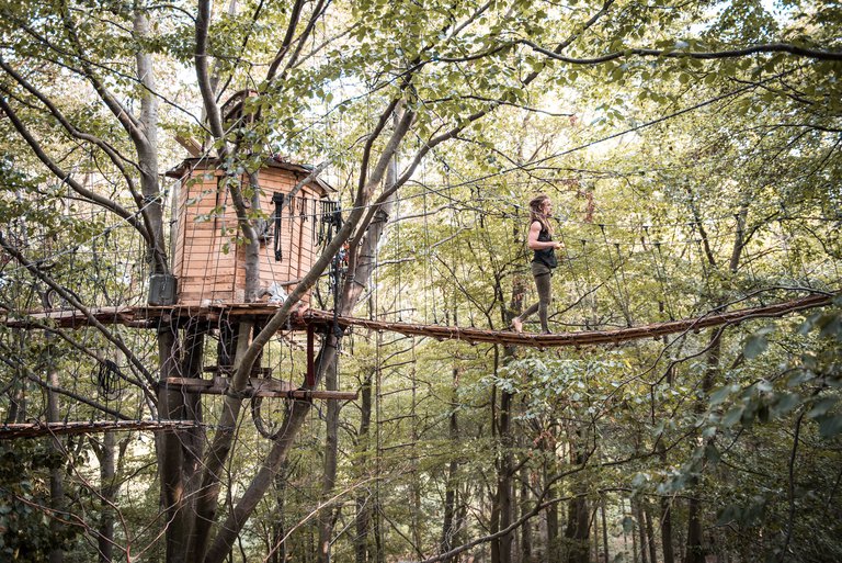 Person läuft über Walkway in der sog. Baumhaussiedlung "Beach-Town" im Hambacher-Forst.