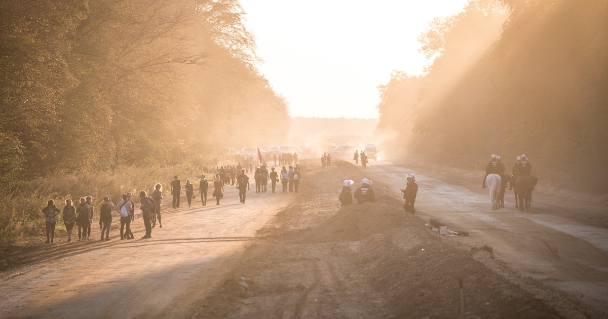 Erfolgreiche Untätigkeitsklage: NRW-Innenministerium veröffentlicht Gutachten zum Hambacher Forst