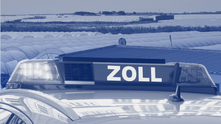 Ein Auto des Zoll im Anschnitt im Vordergrund, man sieht ein Blaulicht und den Schriftzug Zoll. Im Hintergrund ein Gelände mit vielen Plastiktunneln, auf dem Landwirtschaft betrieben wird.